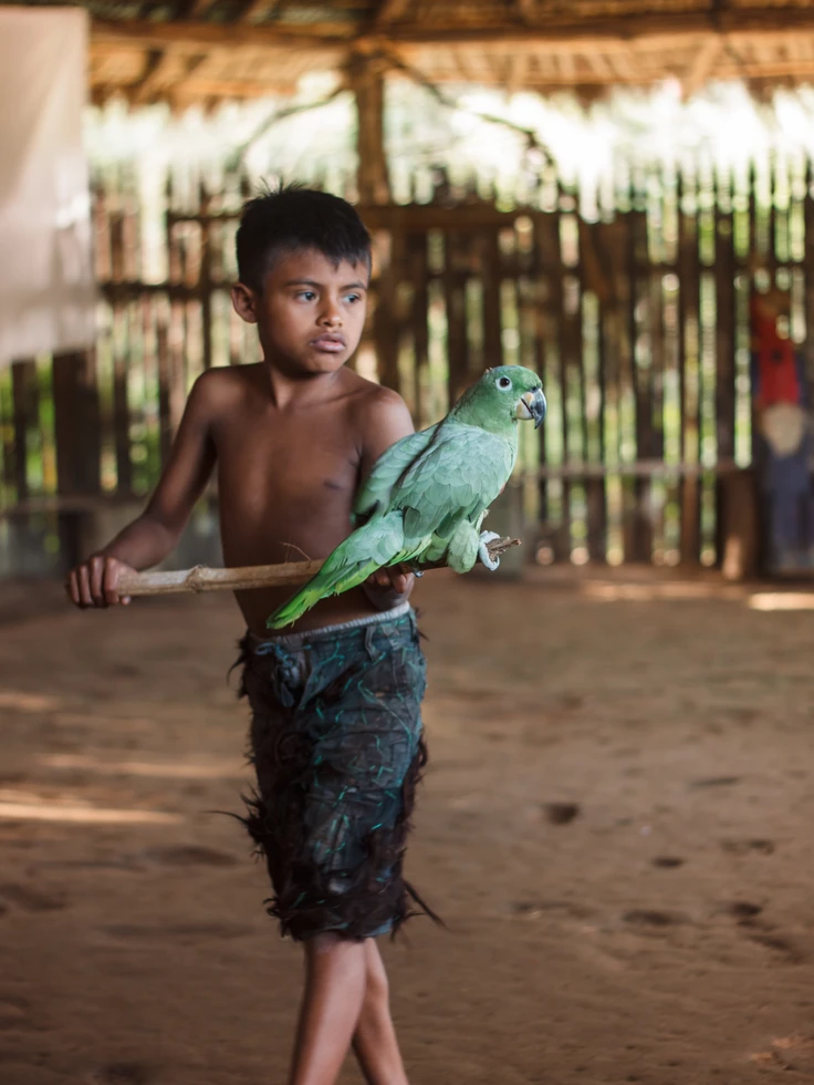 Bambino indigeno esibisce il suo pappagallo verde